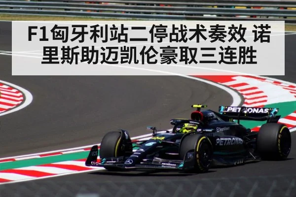 F1匈牙利站二停战术奏效 诺里斯助迈凯伦豪取三连胜